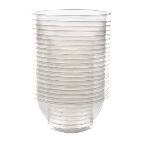 Bát nhựa 1 lần    20 cai P10
