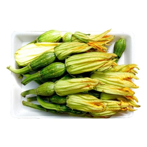 Nụ bí bao tử