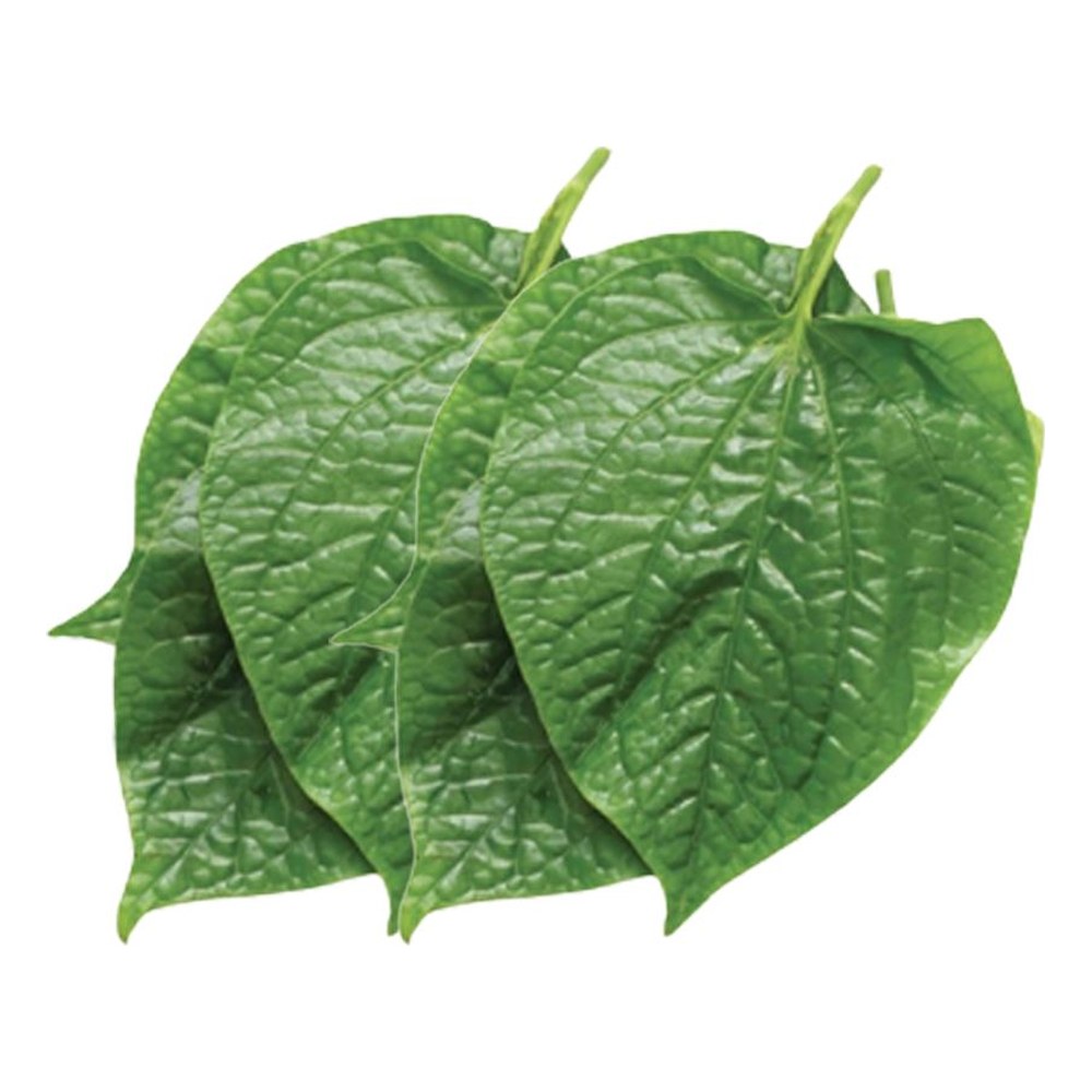 Lá lốt Lạng Sơn