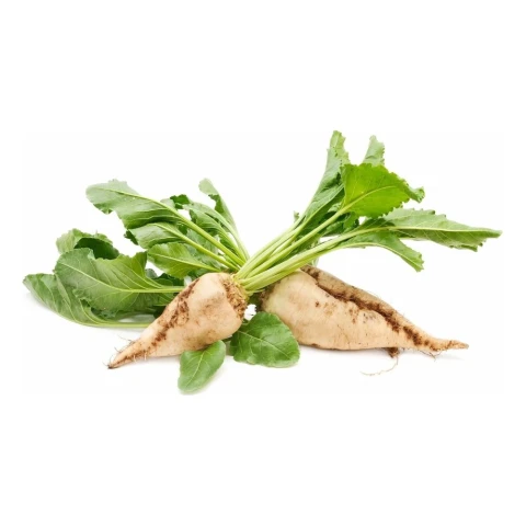 Củ cải ngọt