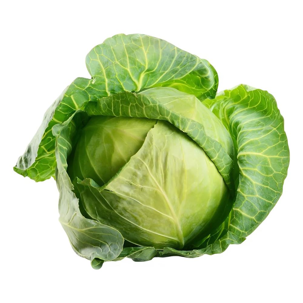 Bắp cải lạng sơn