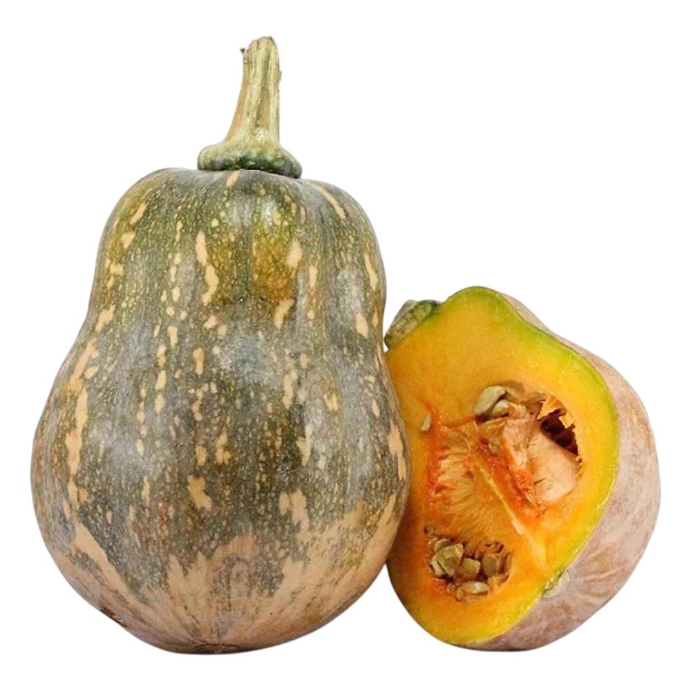Bí ngô cô tiên