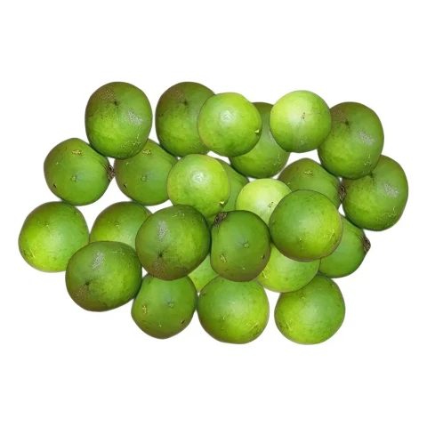 Quả sấu