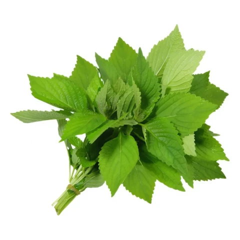 Kinh giới