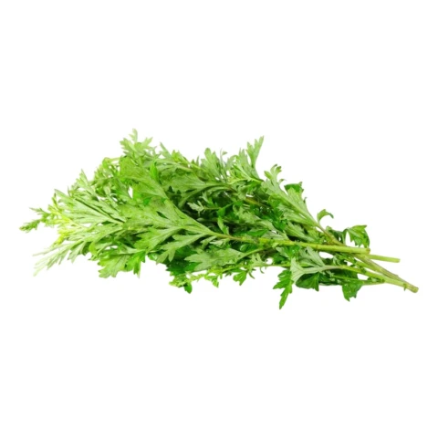 Ngải cứu