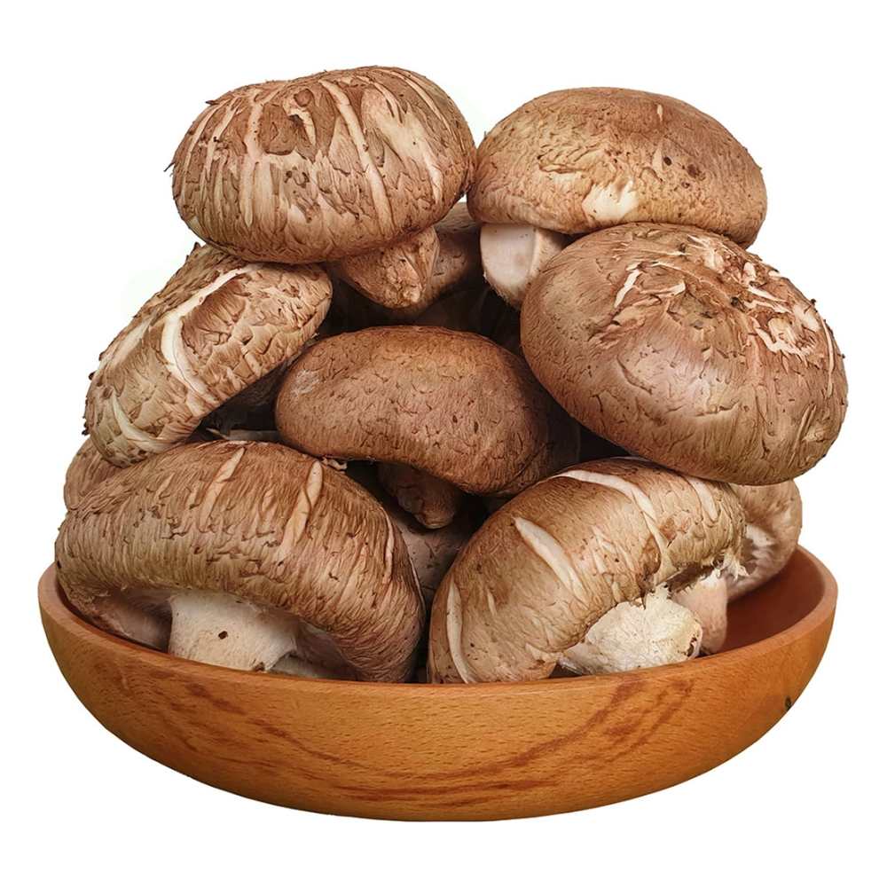 Nấm hương tươi VT