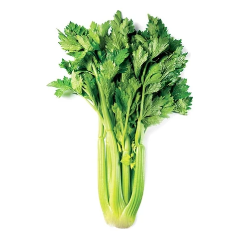 Cần tỏi tây
