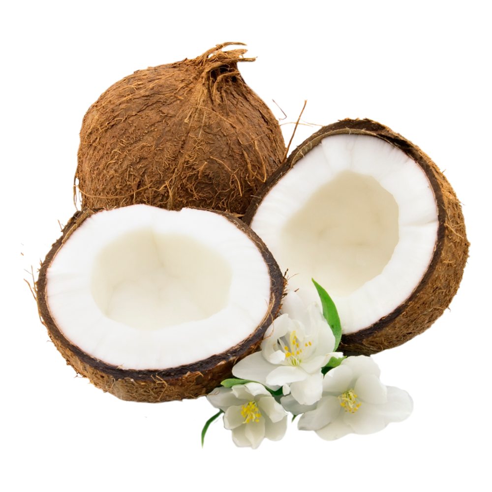 Dừa nhỏ