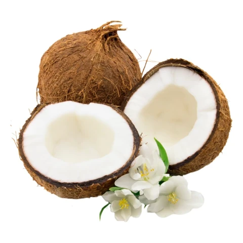 Dừa nhỏ