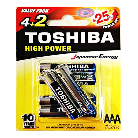 Pin  Toshiba LR03GCP BP6 2FPV  