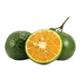 Trái cây trong nước