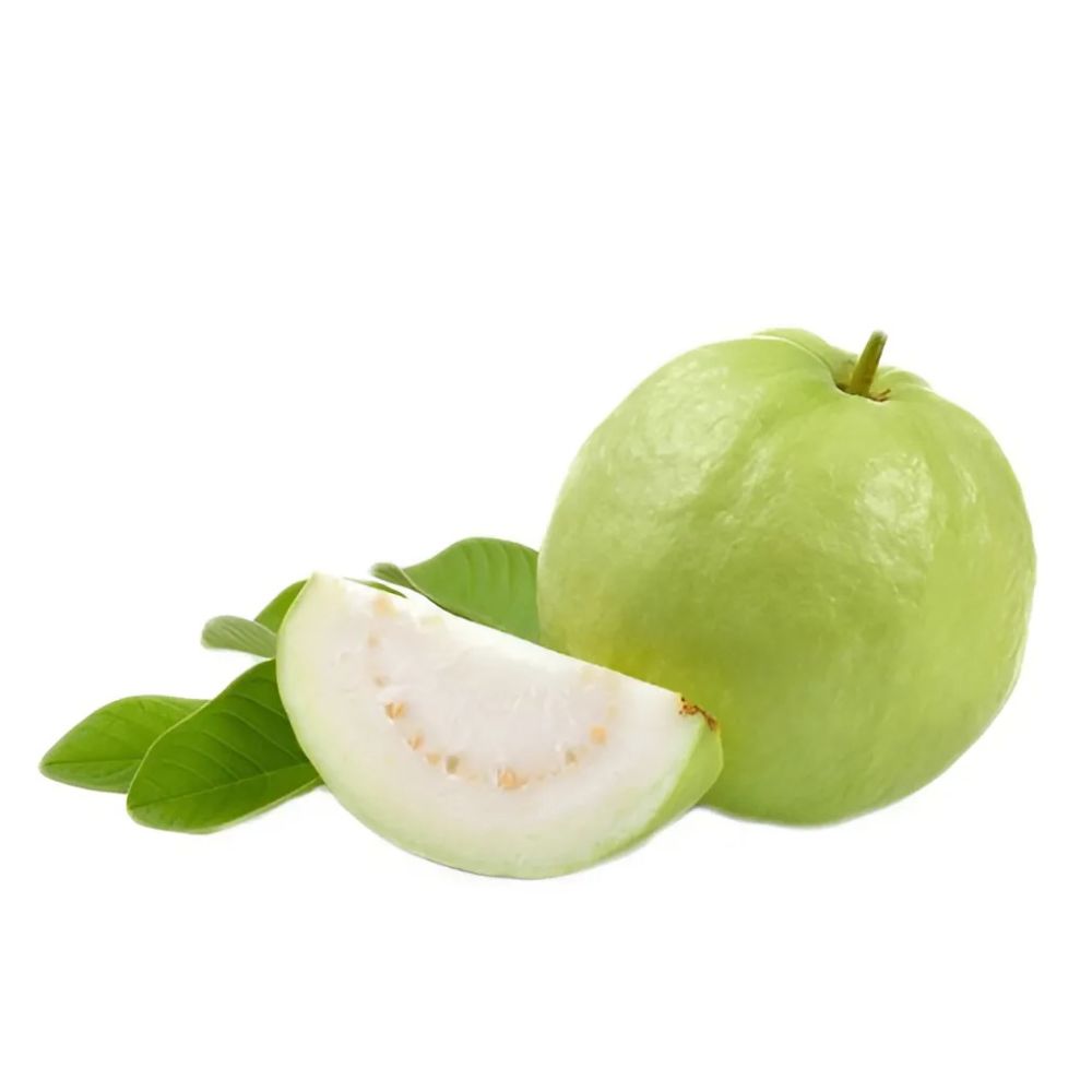Ổi Găng