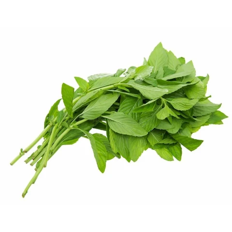Rau húng bạc hà