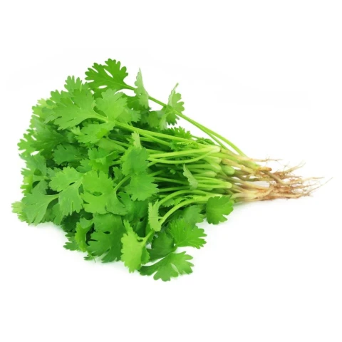 Rau mùi ta