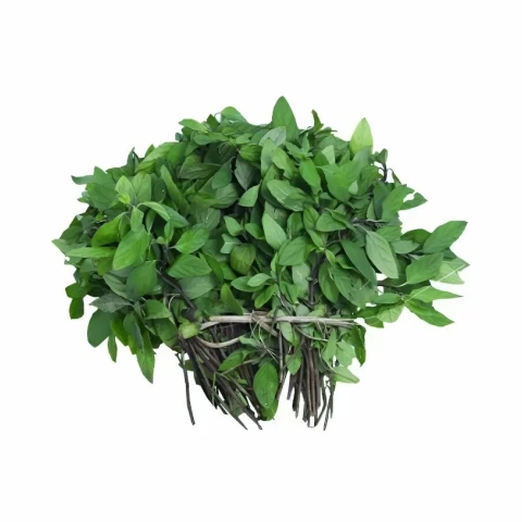 Húng Láng