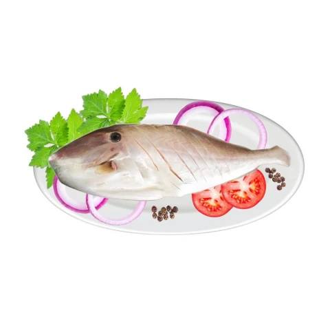 Cá bò