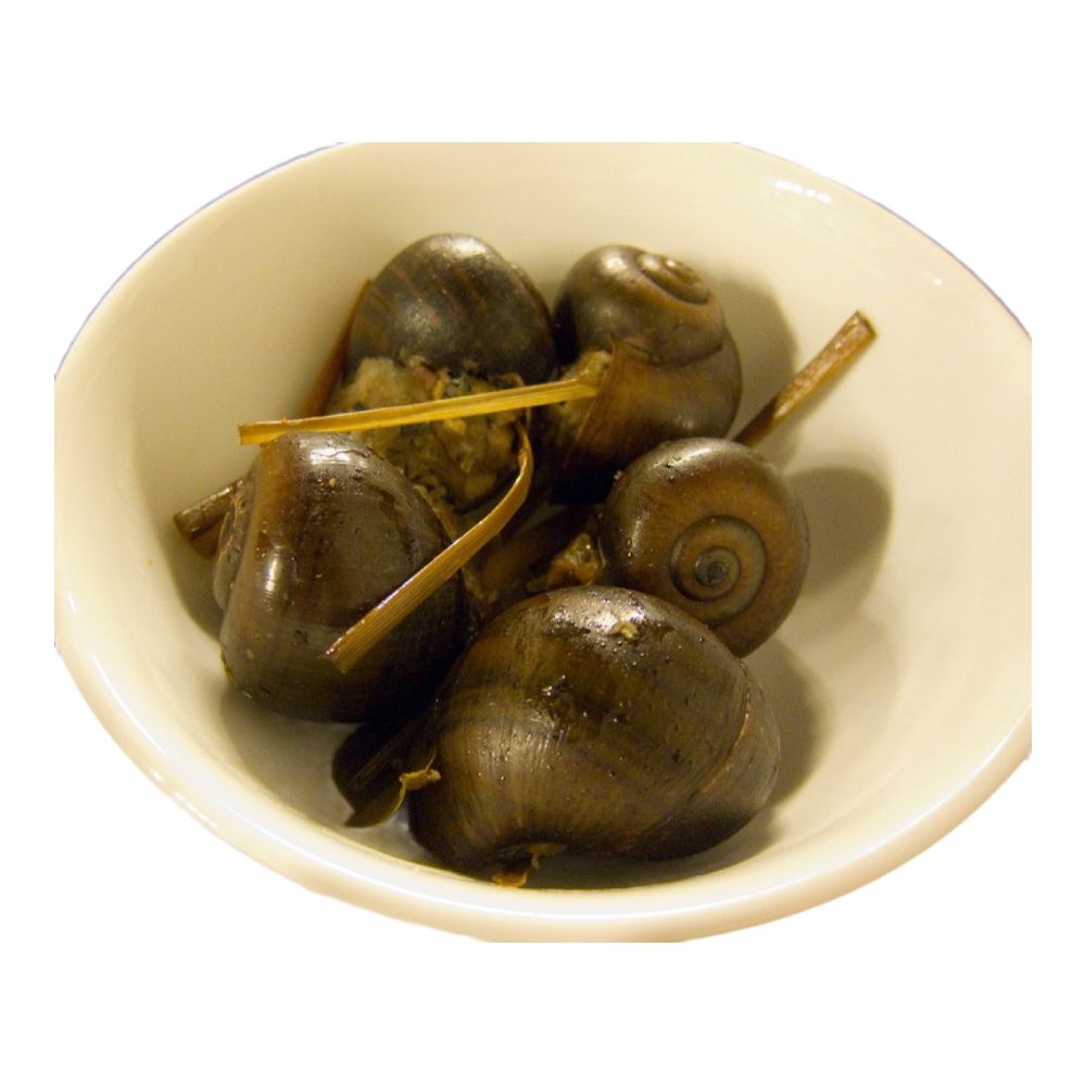 Ốc vặn